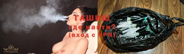 молекула духа Ельня