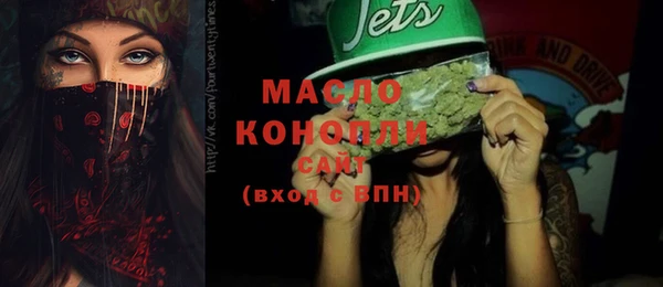 молекула духа Ельня