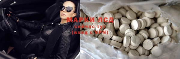 молекула духа Ельня