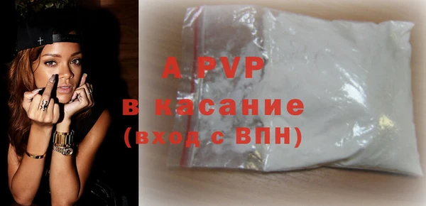 молекула духа Ельня
