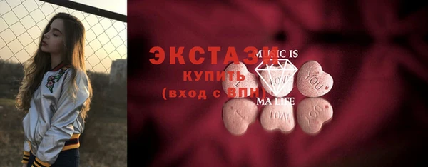 молекула духа Ельня