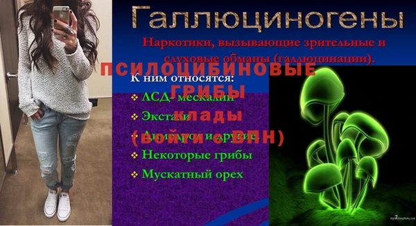 прущая мука Елизово