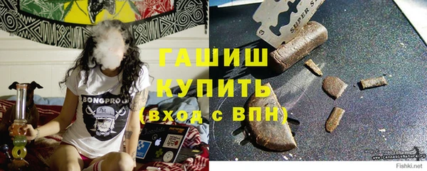 молекула духа Ельня