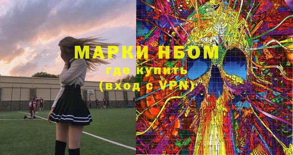 молекула духа Ельня