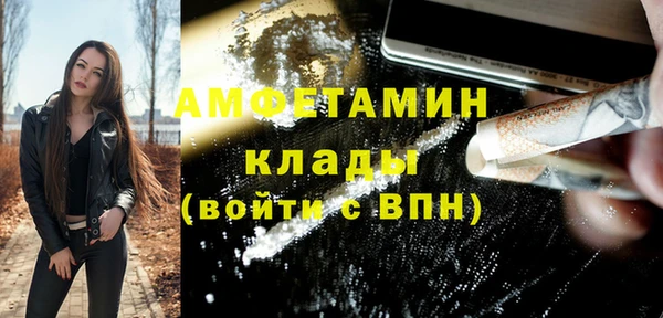 молекула духа Ельня