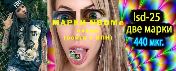 молекула духа Ельня