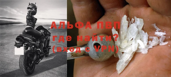 молекула духа Ельня