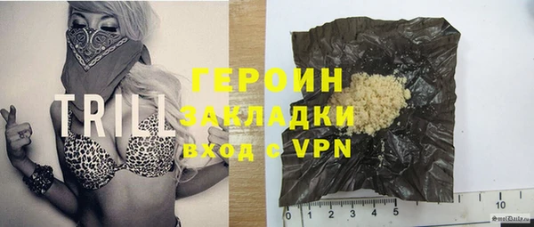 молекула духа Ельня