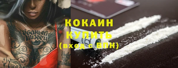 молекула духа Ельня