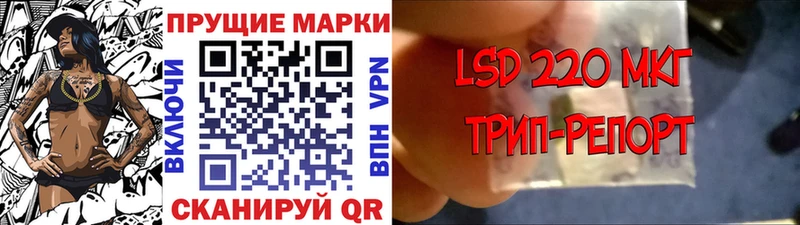 Купить где  Далматово  Марки 25I-NBOMe 1500мкг 